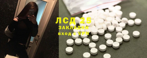 индика Белоозёрский