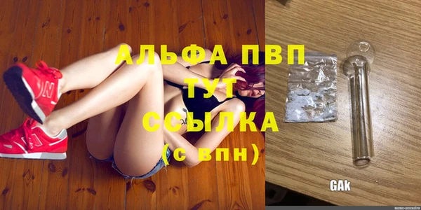 индика Белоозёрский