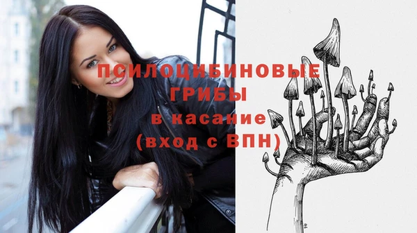 кокаин Белокуриха