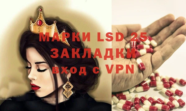 индика Белоозёрский