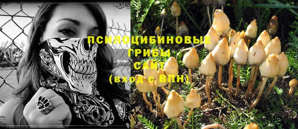 кокс Богданович