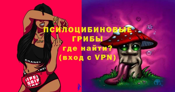 индика Белоозёрский