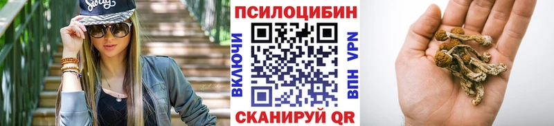MEGA ссылка  Ефремов  Галлюциногенные грибы GOLDEN TEACHER  дарнет шоп 
